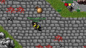 Mina Azor on screen