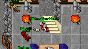 Elites Verticas on screen
