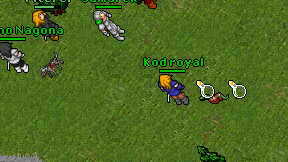 Kod royal on screen