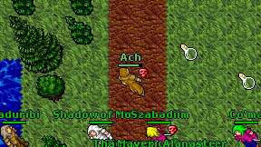 Ach on screen