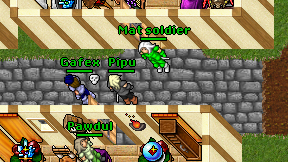 Pipu on screen