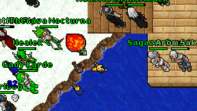 Sagazer Druid on screen