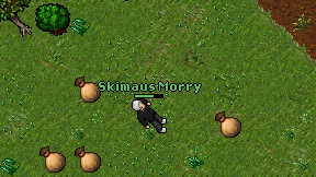 Skimaus Morry on screen