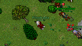Pinokada on screen