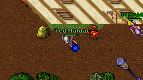 Ted Maldac on screen