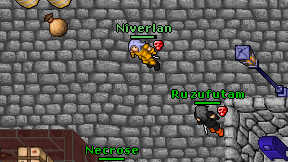Niverlan on screen