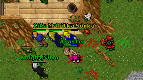 Arastis on screen