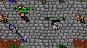 Niros Alohn on screen