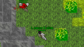 Lamus Kalim on screen