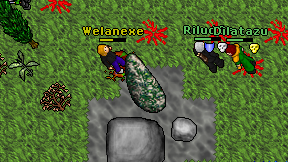 Welanexe on screen