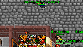 Svampbob Femkant on screen