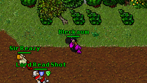 Bleckaum on screen