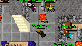 Wag Zoom on screen