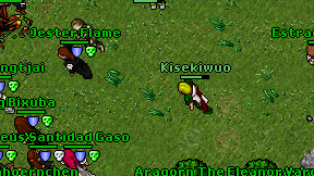 Kisekiwuo on screen