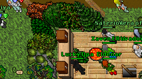 Lucky Qpa on screen