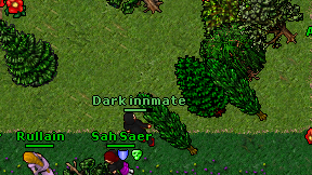 Dark innmate on screen