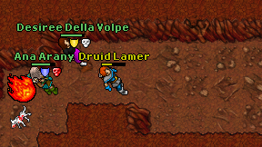 Druid Lamer on screen