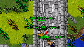 Zobisosvaldo on screen