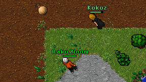 Raku Zioom on screen