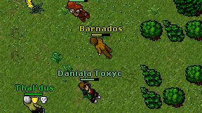 Barnados on screen