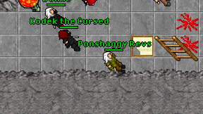 Ponshaggy Revs on screen