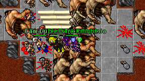 Hektus on screen