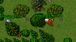 Almighty Wizard on screen