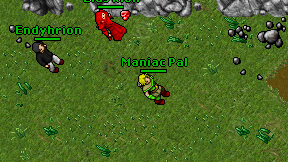 Maniac Pal on screen