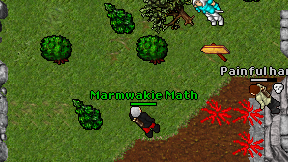 Marmwakie Math on screen
