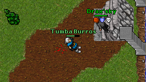 Tumba Burros on screen