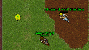 Amarelys on screen