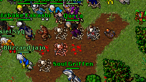 Qarca on screen