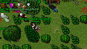 Dego Max Druida on screen