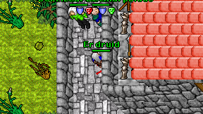 Er druid on screen
