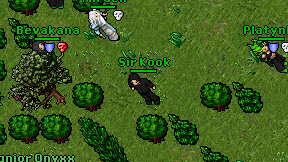 Sir Kook on screen