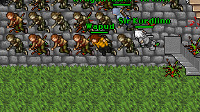 Wapud on screen