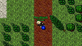 Mcdivit on screen