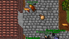 Ancrus on screen