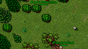 Rafa bokinha on screen