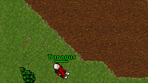 Taragus on screen