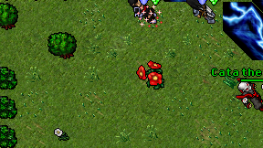 Gladiator of Evil on screen