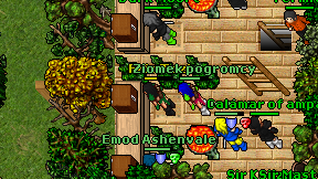 Fris Tazi on screen