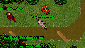 Nagelsvamp on screen