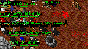 Slelelvo on screen