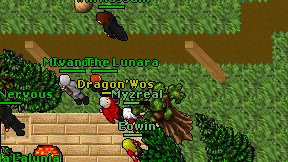 Dragon'Wos on screen