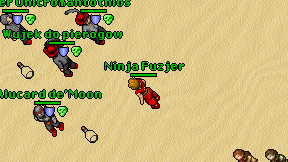 Ninja Fuzjer on screen