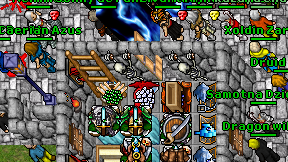 Druid Guide on screen