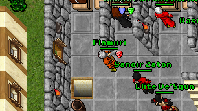 Flamuri on screen