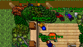 Apogheus on screen