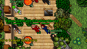 Elfa sorcerer on screen